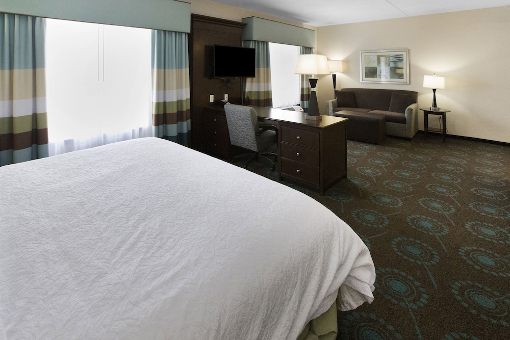 Room, 1 King Bed photo 2