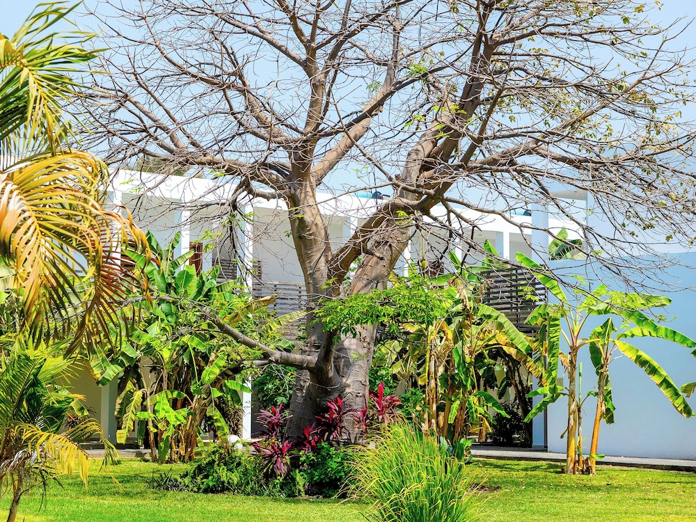 Premium Room, Garden View - Photo 2