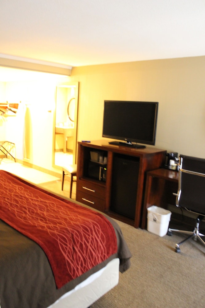 Suite, 1 King Bed With Sofa Bed, Non Smoking (Efficiency) photo 2