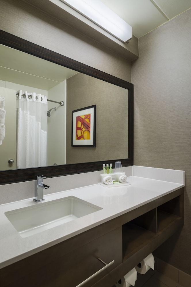 Suite, 1 Bedroom - Photo 6