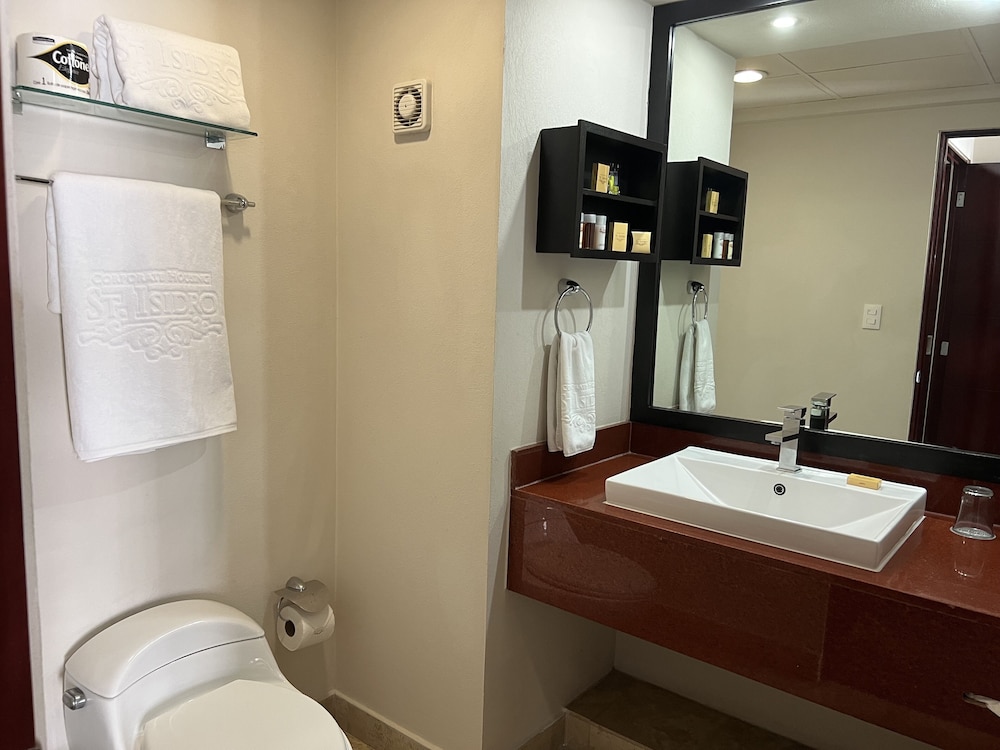 Executive Room - Photo 8