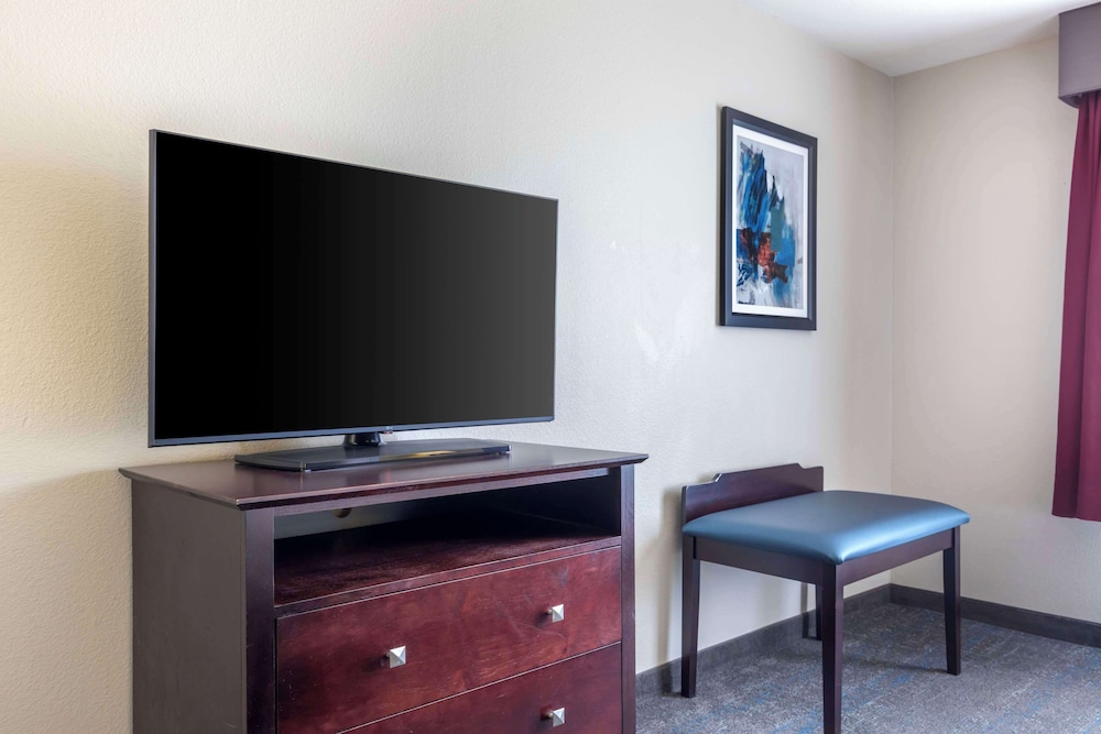 Suite, 1 King Bed, Non Smoking, Microwave (with Sofabed) - Photo 2