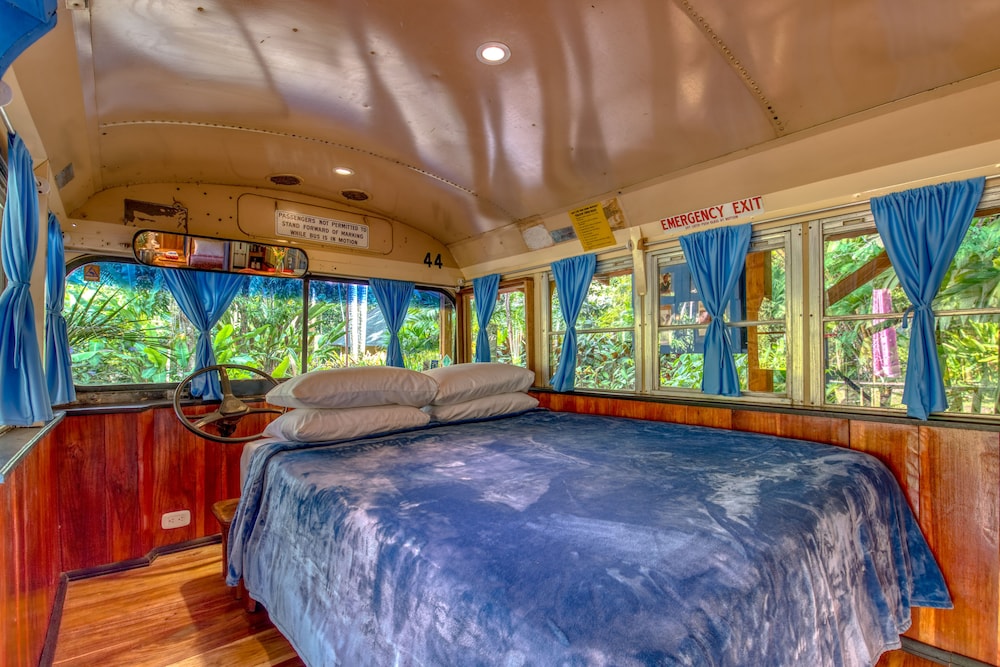 Design House, 1 King Bed with Sofa bed