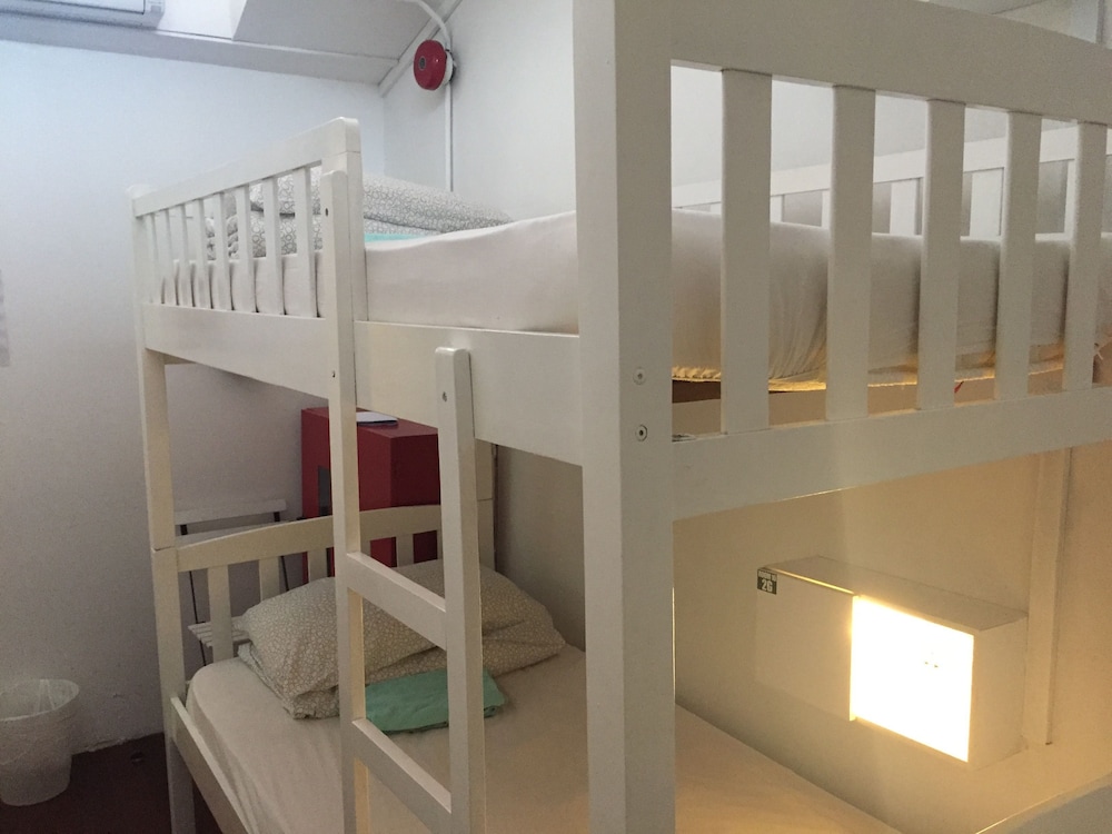 Single Bed in a 6-Bed Room photo 2