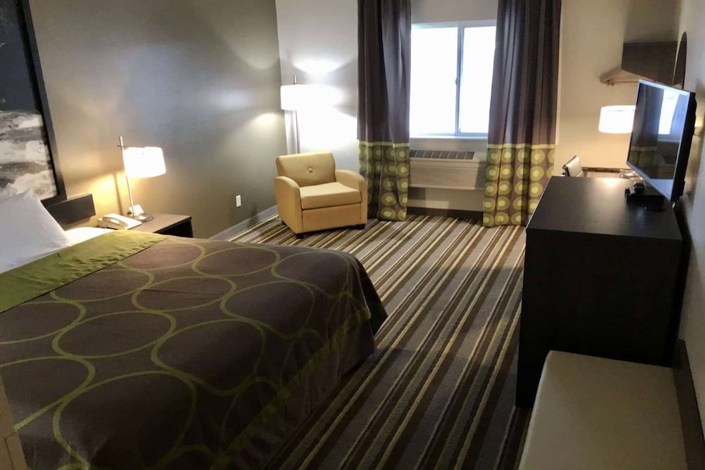 Room, 1 Queen Bed, Accessible Room, Non-Smoking, Refrigerator & Microwave - Photo 1