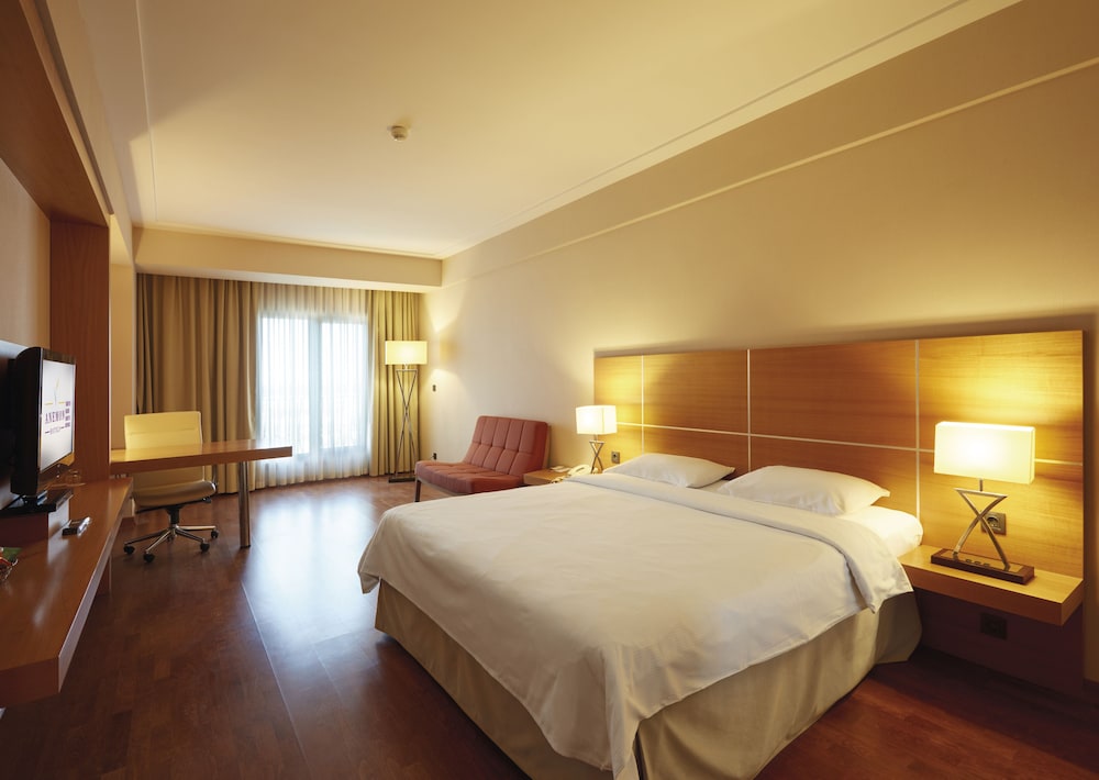 Deluxe Double Room photo 2