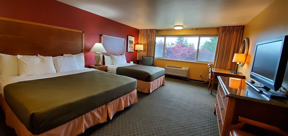 Jr Suite (No Pets)
