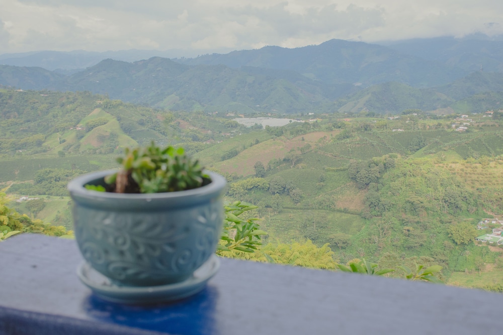Premier Room photo 3