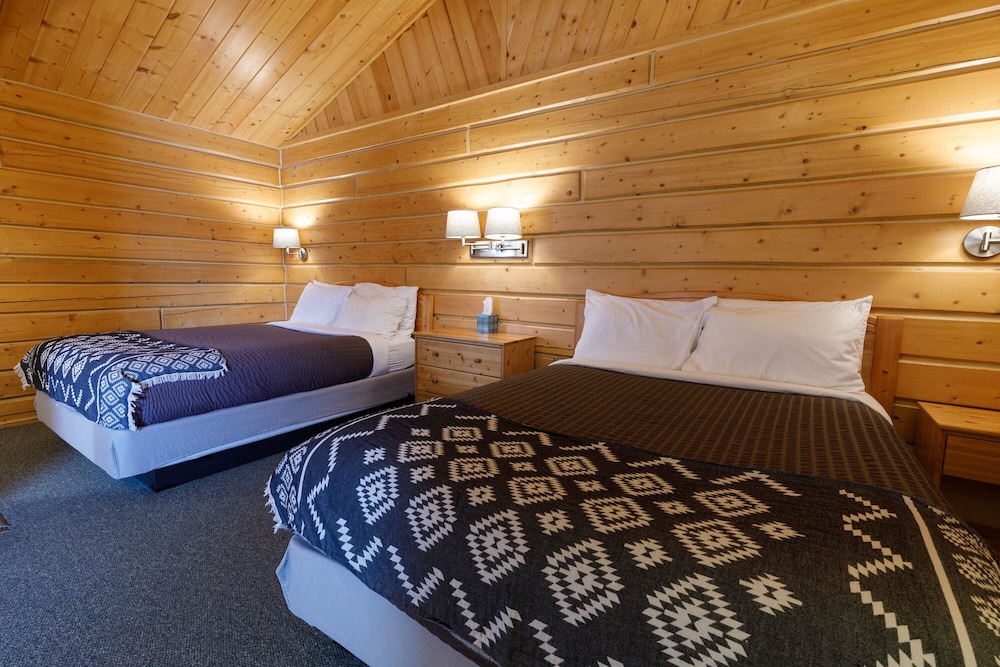 Premier Cabin, Multiple Beds, Kitchen (03) photo 3
