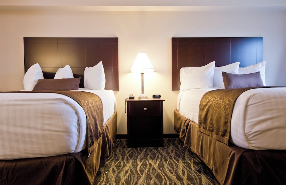 Family Suite, Multiple Beds