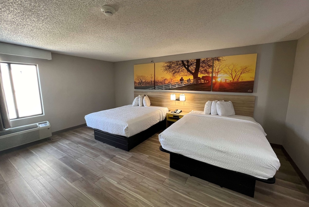 Room, 2 Queen Beds, Accessible, Non Smoking - Photo 5