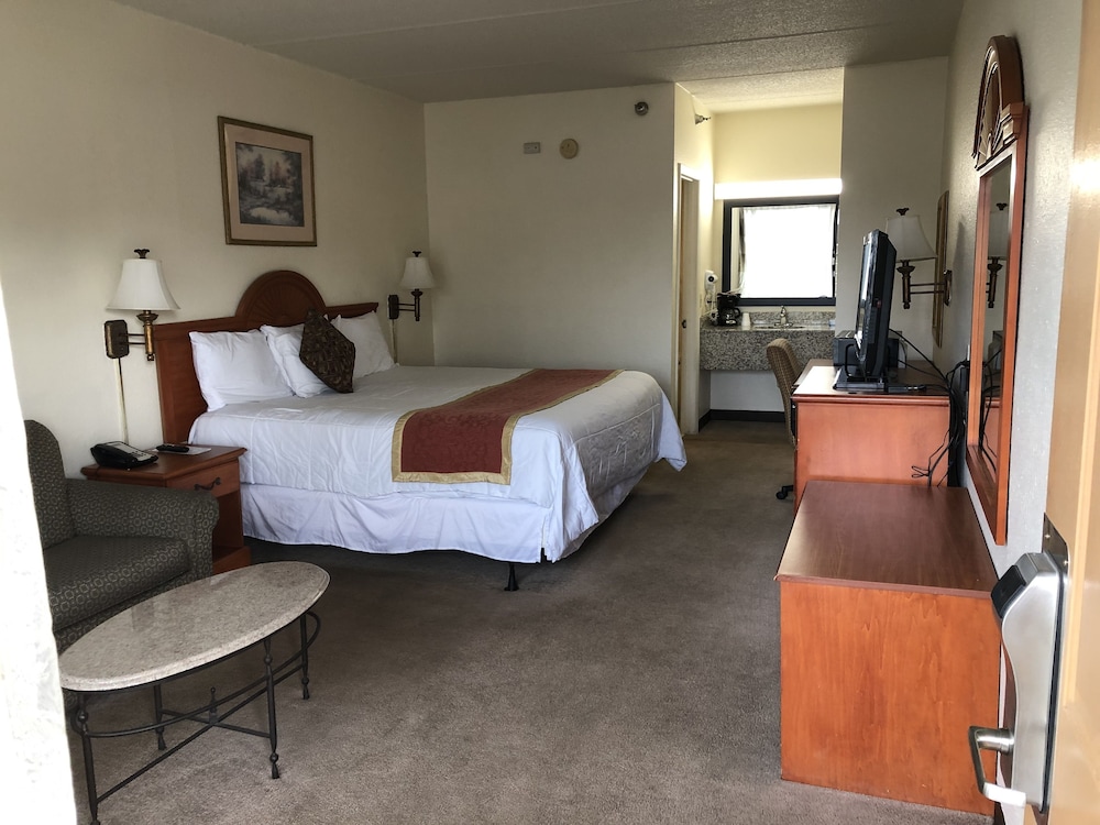 Standard Room, 1 King Bed with Sofa bed photo 1