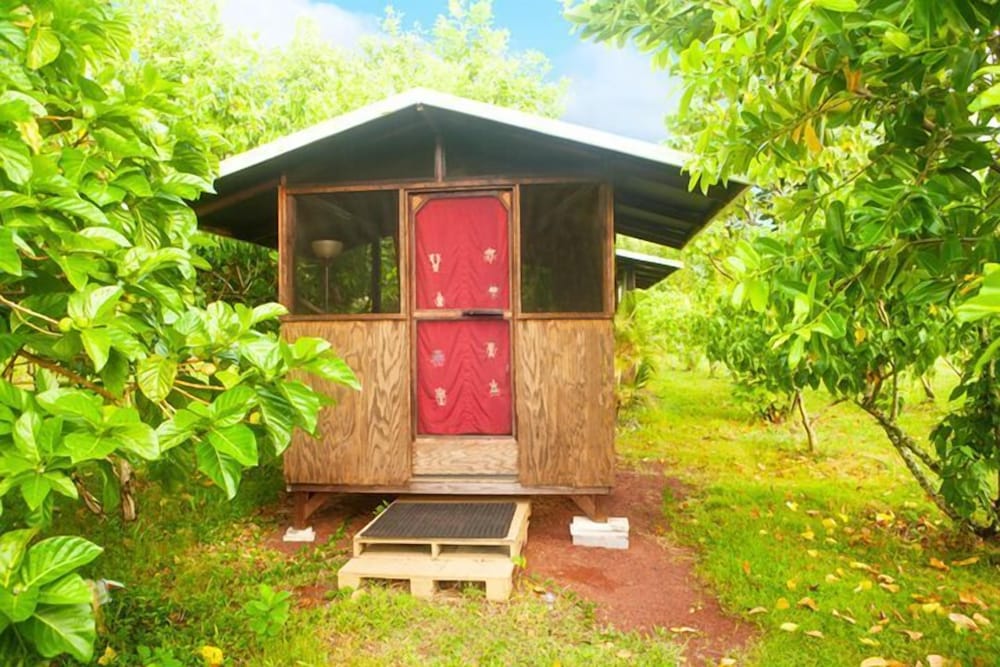 Basic Cabin (Milo 1) photo 2