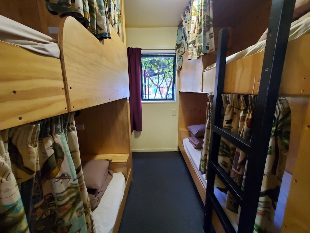 Basic Shared Dormitory photo 1