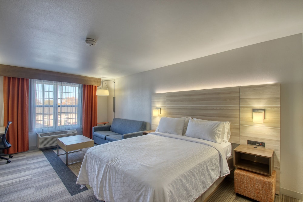 Suite, 1 Bedroom - Photo 5