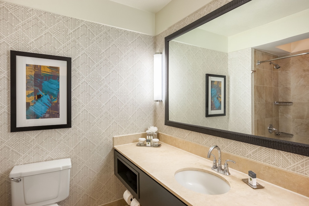 Room, 1 King Bed, Mobility Accessible, Allergy Friendly (Roll-in Shower) - Photo 5