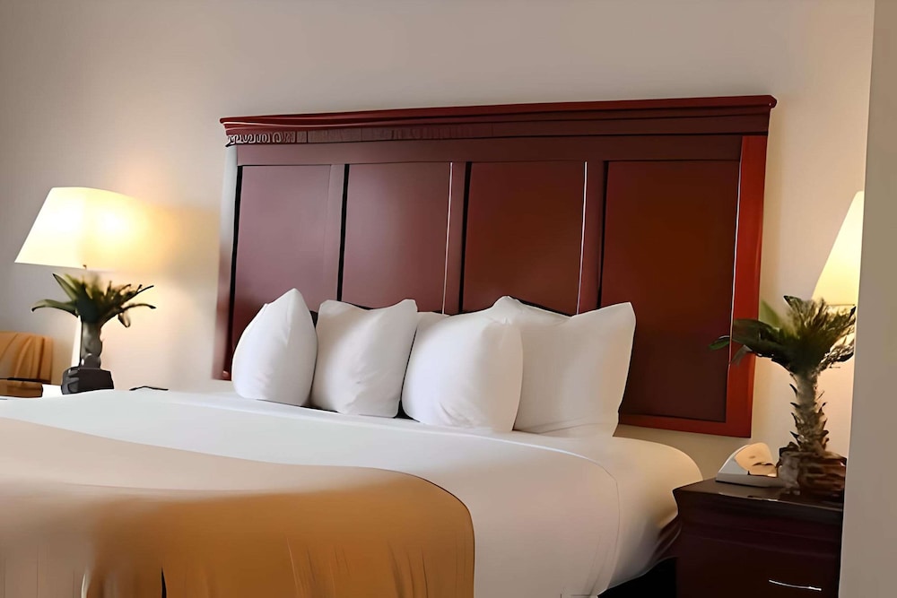 Standard Room, 1 King Bed, Non Smoking photo 1