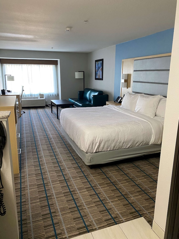 Standard Room, 1 King Bed, Accessible, Refrigerator & Microwave (with Sofabed) - Photo 1