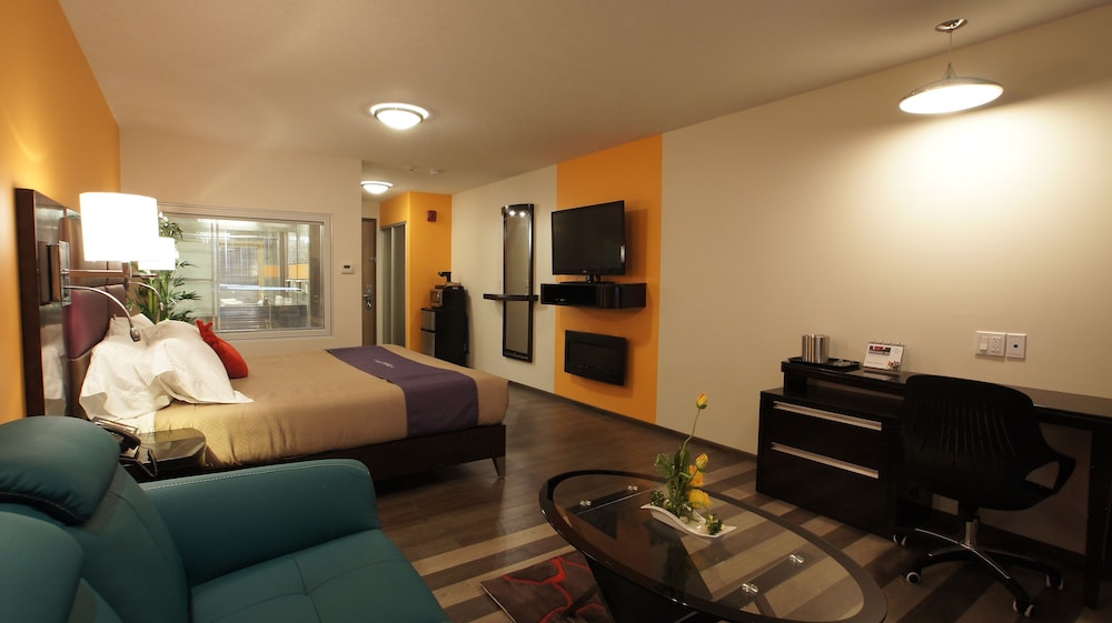 King Bed Jacuzzi Executive Suite photo 2