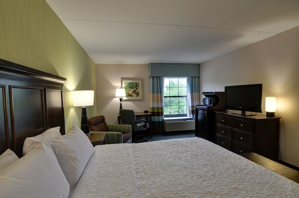 Room, 1 King Bed, Accessible - Photo 4