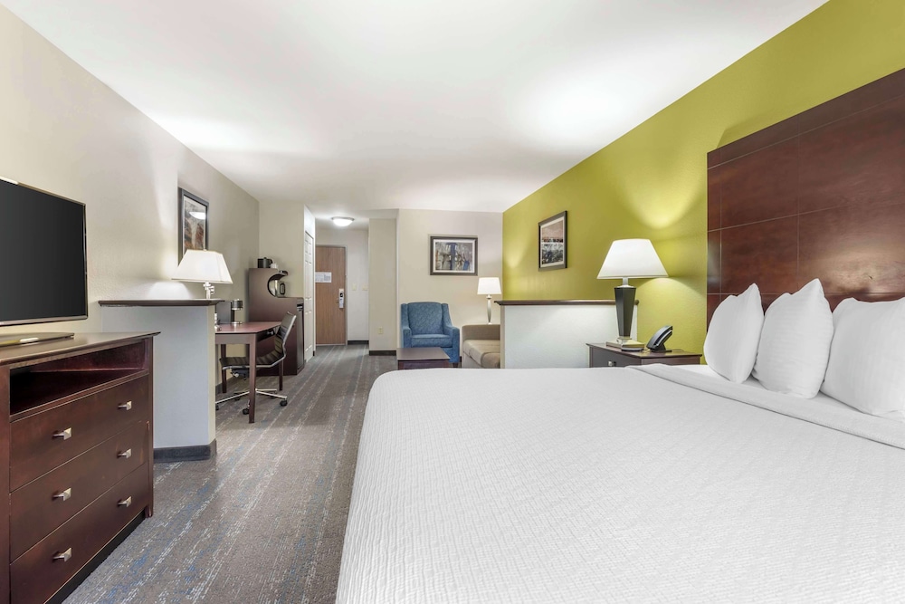 Standard Room, 1 King Bed, Non Smoking, Jetted Tub - Photo 3