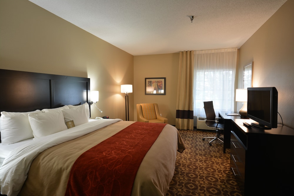 Room, 1 King Bed, Accessible, Non Smoking - Photo 3