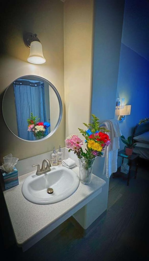 Deluxe Single Room, 1 Queen Bed photo 2