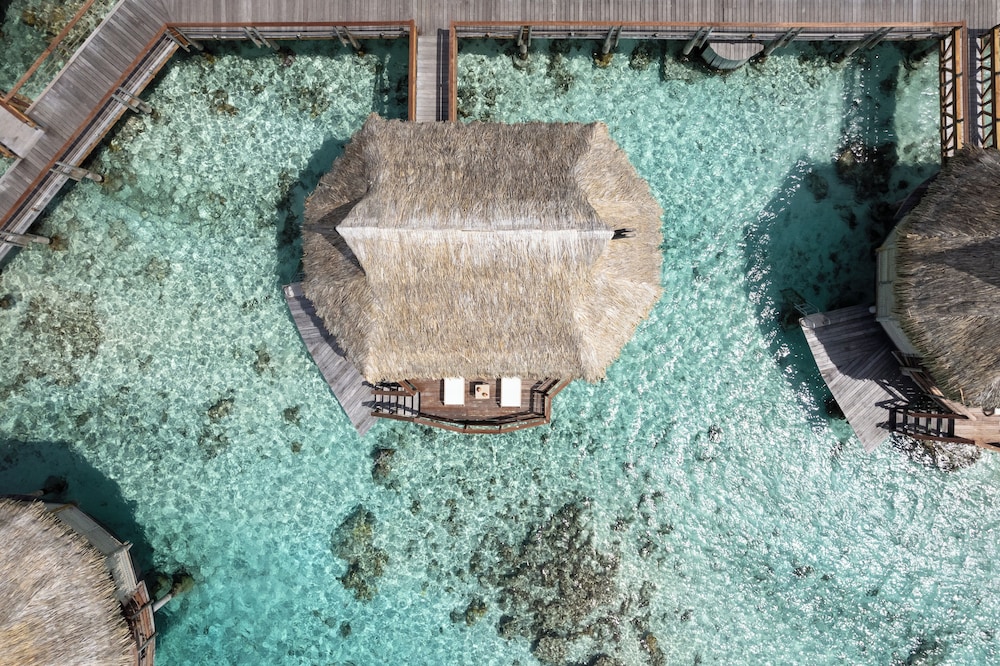 Premium Bungalow, Overwater