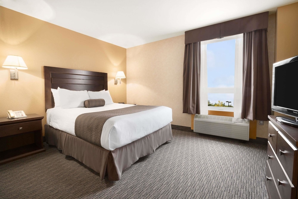 Room, 1 Queen Bed photo 1