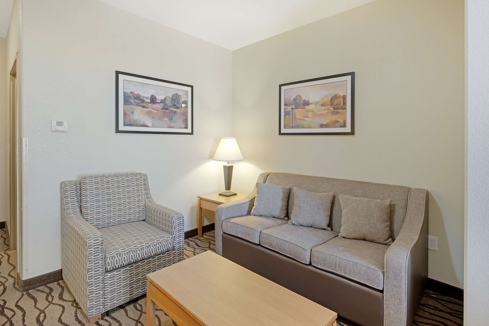 Suite, 1 King Bed, Non Smoking, Refrigerator & Microwave (with Single Sofabed) photo 3