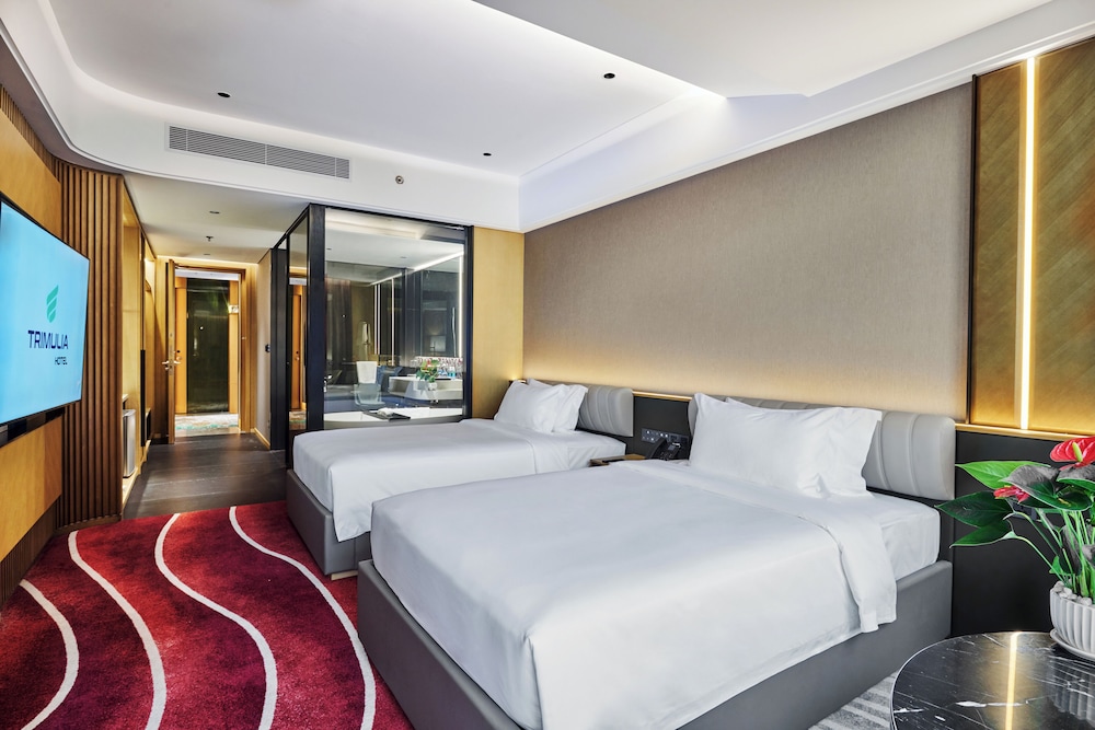 Deluxe Twin Room, City View photo 3