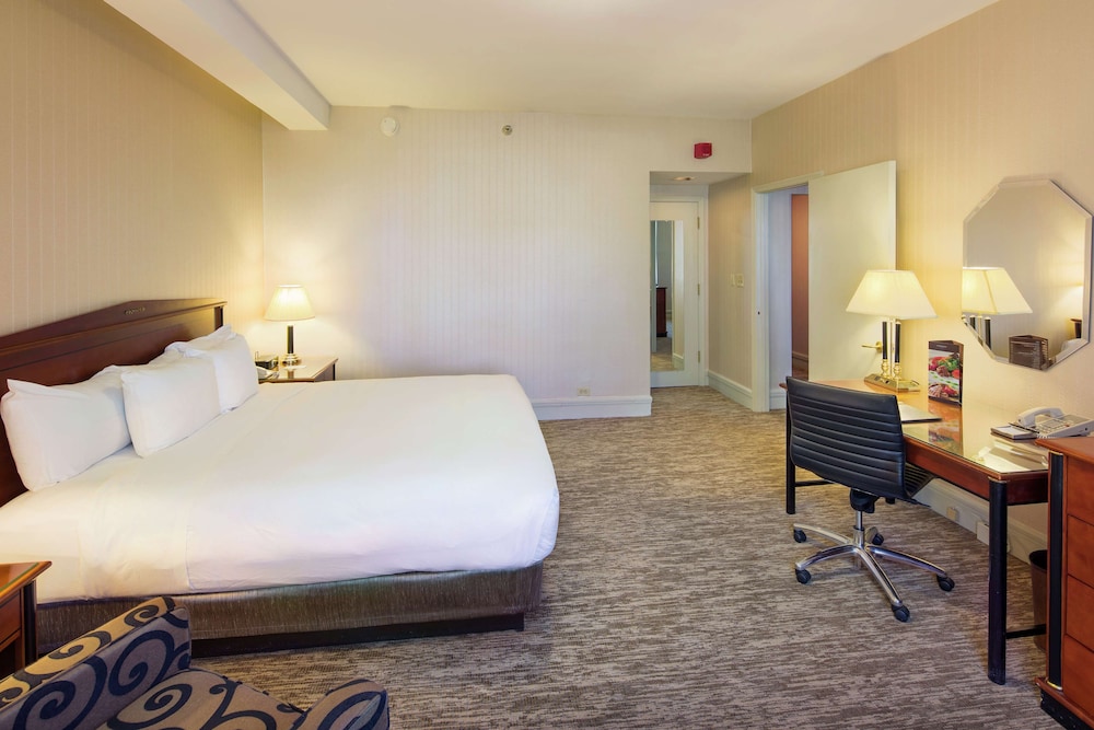 Suite, 1 King Bed (Belvedere) photo 3
