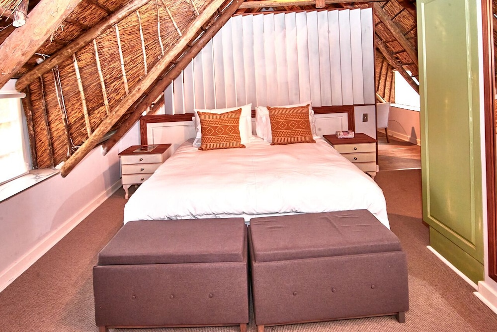 Safari Suite