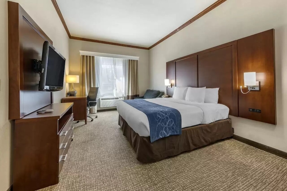 Suite King, Accessible, (Roll In Shower), Non Smoking photo 2