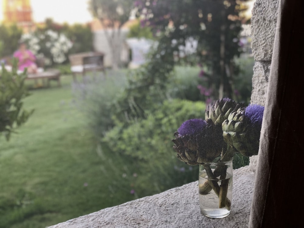 Standard Double Room, Garden View, Ground Floor photo 3