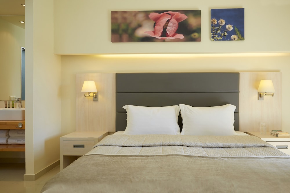 Superior Double Or Twin Room, Garden View photo 1