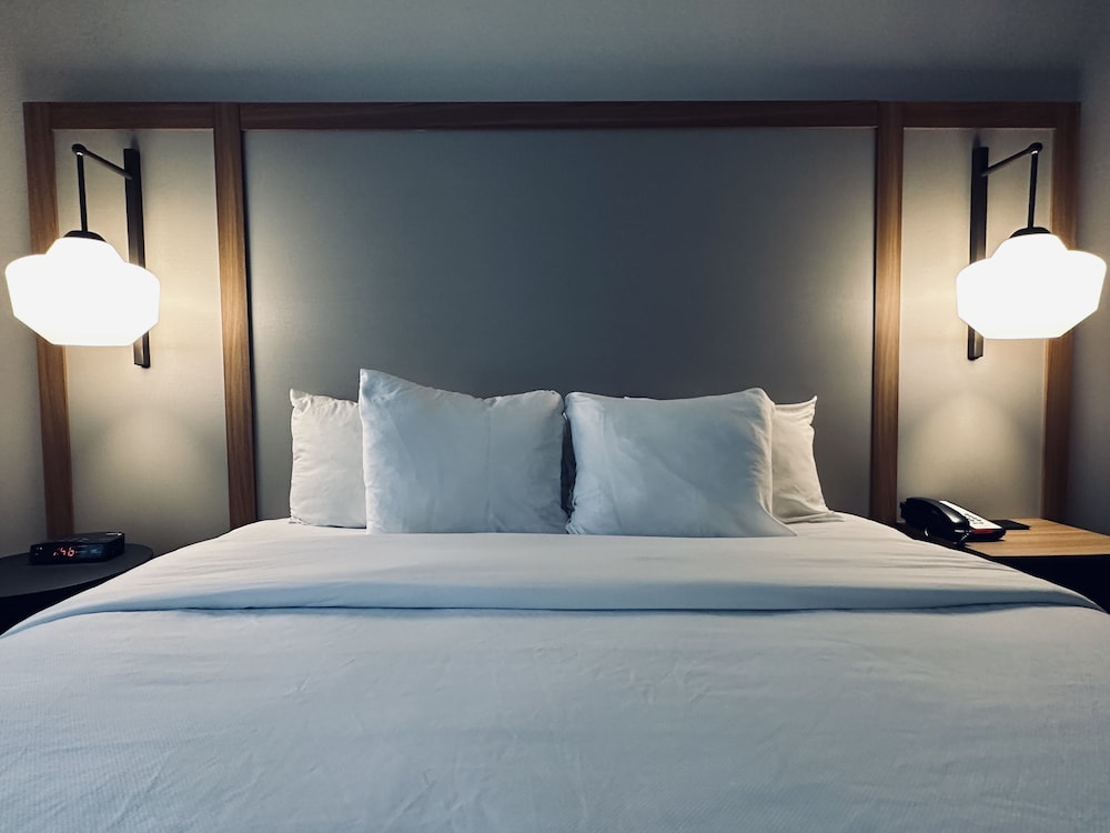 Standard Suite, 1 King Bed With Sofa Bed - Photo 1