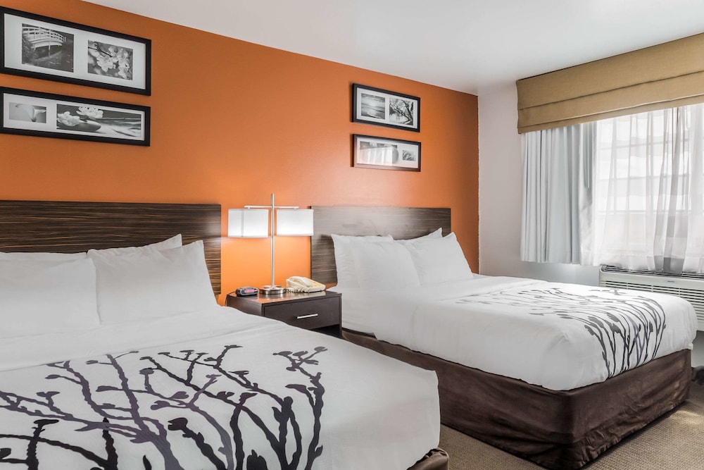 Suite, Multiple Beds, Non Smoking, Refrigerator & Microwave - Photo 1
