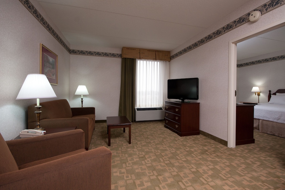 Suite, 1 King Bed, Accessible (Roll-in Shower) photo 3