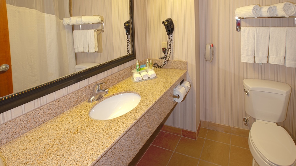 Suite, 1 King Bed (Office) - Photo 5