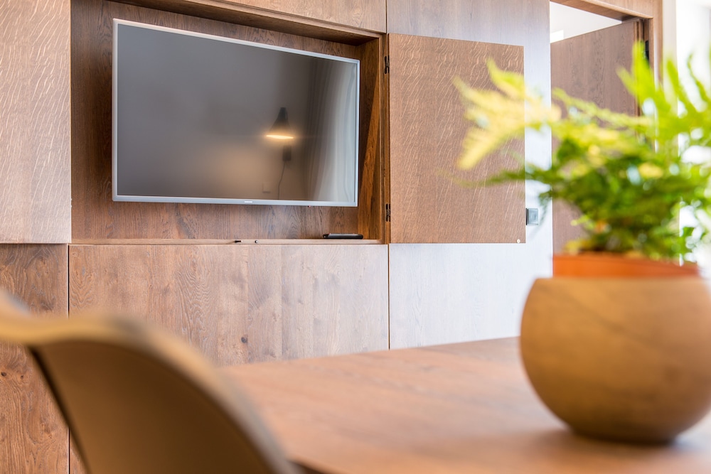 Luxury Apartment, 1 Bedroom, Kitchen, Valley View, photo 6