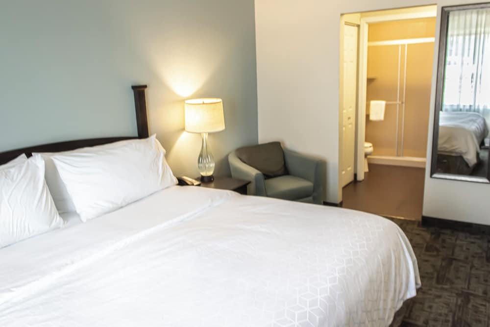 Suite, 1 Bedroom, Accessible Bathtub, Kitchen (Communications) - Photo 4