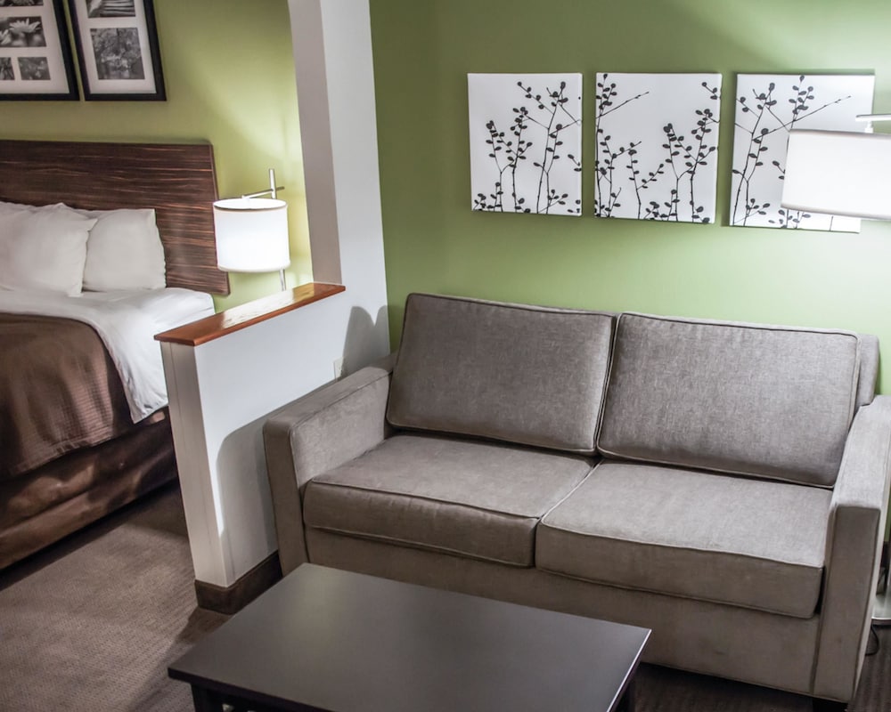 Studio Suite, 1 King Bed With Sofa Bed, Accessible, Non Smoking photo 2