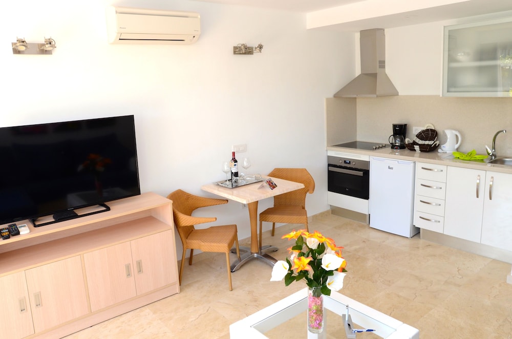 Apartment, 1 Bedroom photo 3