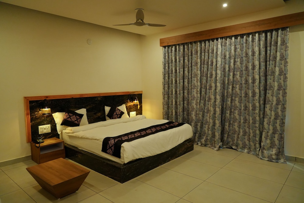 Luxury Room photo 2
