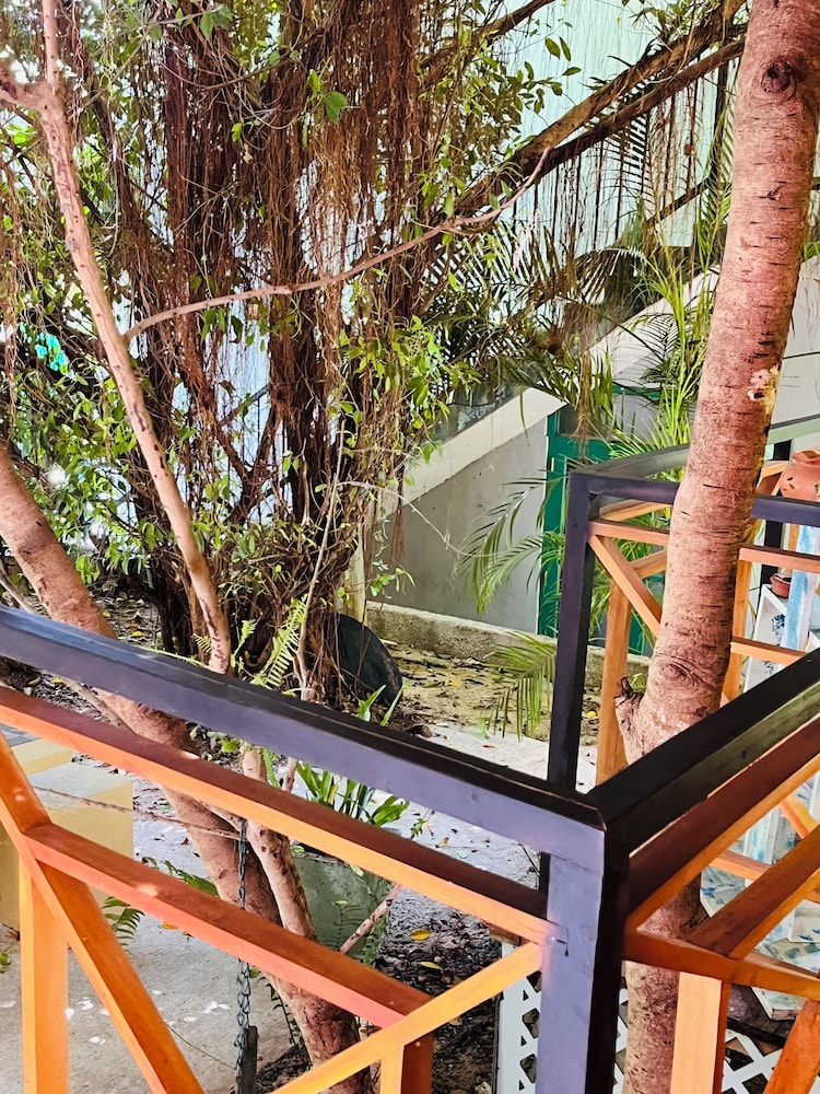 Soul Cabana - Photo 6