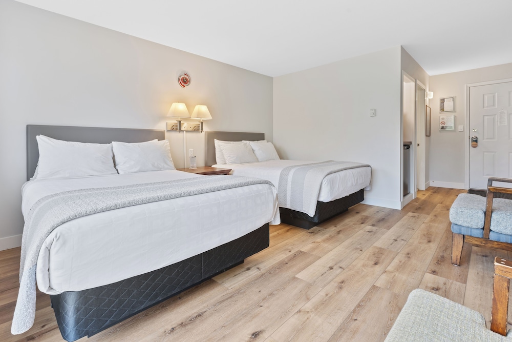 Double Room, Pet-Friendly, Harbor View photo 1