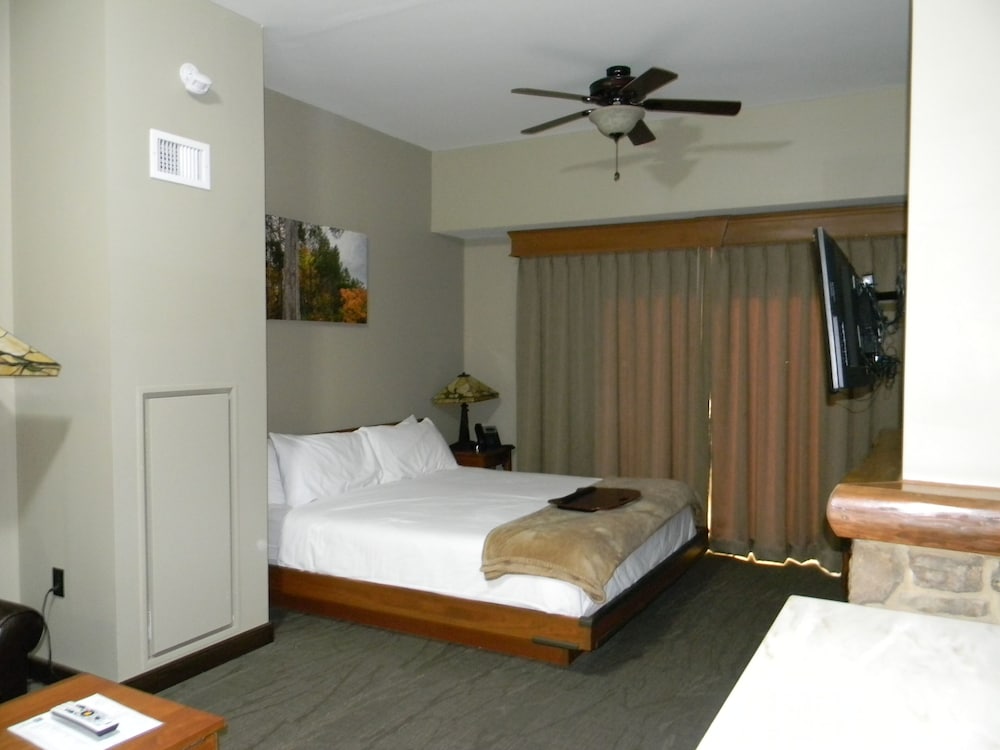 Room, 1 King Bed with Sofa bed photo 2