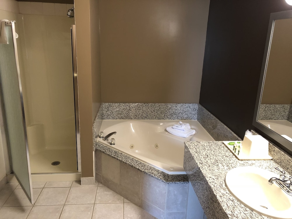 Standard Room, 1 King Bed, Non Smoking, Jetted Tub (Larger Room;with Sofabed) - Photo 6