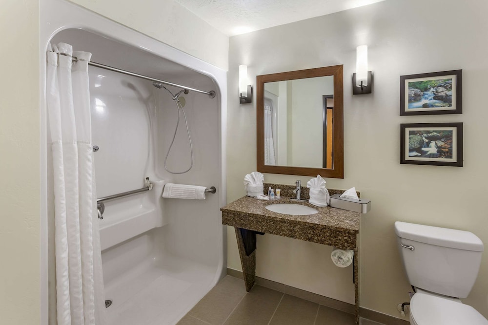 Suite, 1 King Bed with Sofa bed, Non Smoking